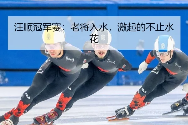 汪顺冠军赛：老将入水，激起的不止水花